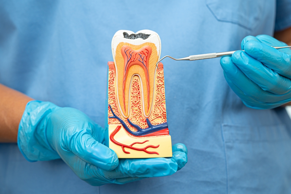 Root Canal Treatment: Why It’s Essential for Your Oral Health